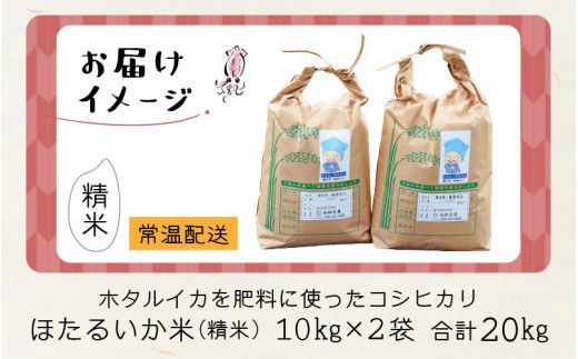 【訳あり】ほたるいか米（精米20kg）【通年発送】