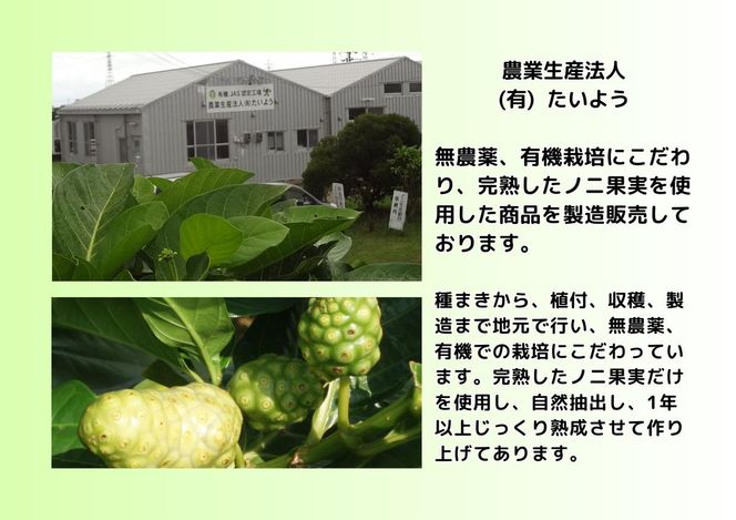 有機栽培で安心・安全「たいようのオーガニックのに」（1本）