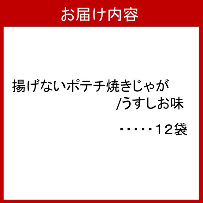揚げないポテチ焼きじゃが12袋/うすしお味_0519Z