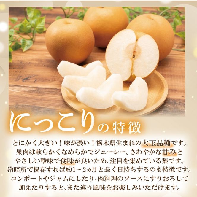 【先行予約】【数量限定】あい farm の梨 にっこり 5kg (4～9玉) | 10月中旬より順次発送 梨 なし フルーツ 果物 新鮮 旬 梨園 益子町産 (DQ004)