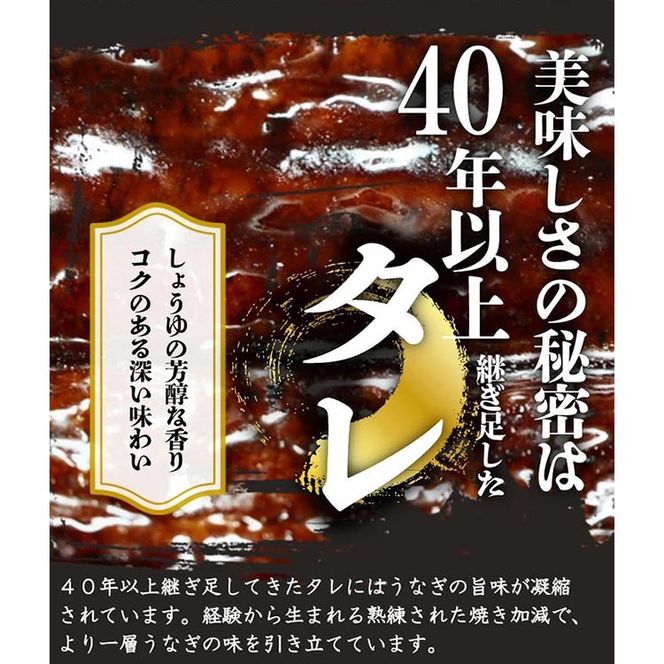 〈毎月定期便〉紀州和歌山うまいもんセットB(生まぐろ・うなぎ蒲焼・熊野牛)全3回 ※離島への配送不可