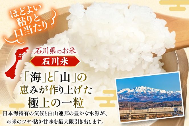 米 定期便 石川米こしひかり【穂立】5kg×3回 総計15kg [中橋商事 石川県 宝達志水町 38601207] コシヒカリ お米 コメ 3ヶ月 白米 精米 おこめ こめ 能登 5kg 5キロ