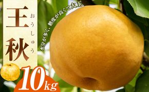 295.王秋　１０ｋｇ（ＪＡ）　※2026年10月下旬～11月下旬頃に順次発送予定 313726_AT006