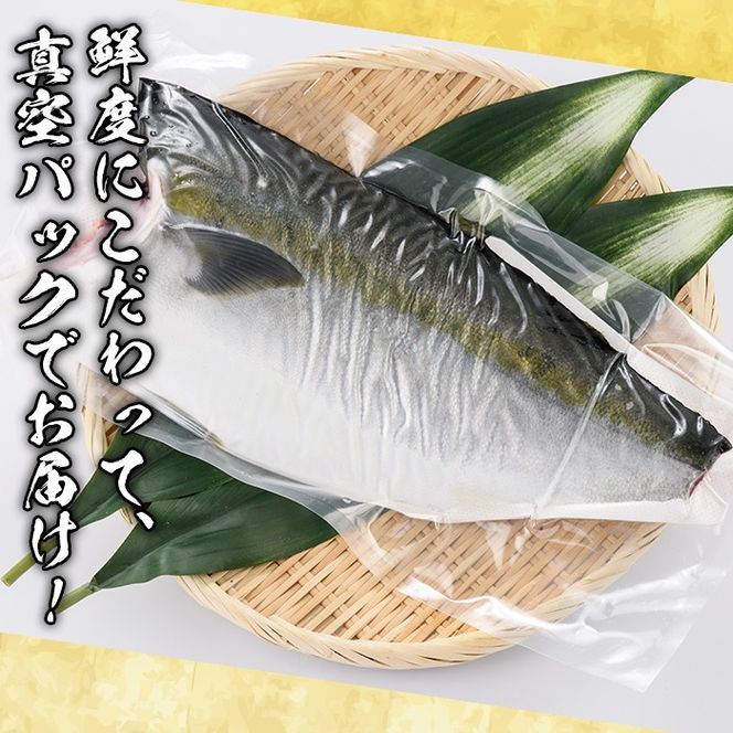 鮮度抜群！自社加工ブリ(片身分・1～1.5kg) ブリ 鰤 魚貝 魚介 海産物 刺身 焼き魚 煮つけ 真空パック【さるがく水産】akn028-24