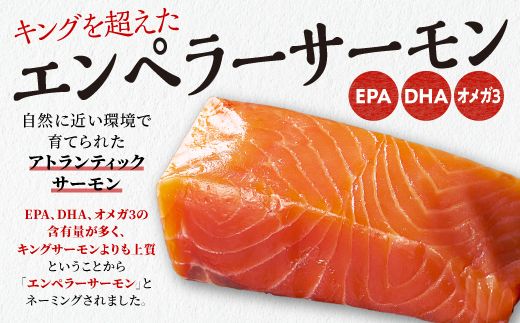 【ふるさと納税】エンペラーサーモン  400g