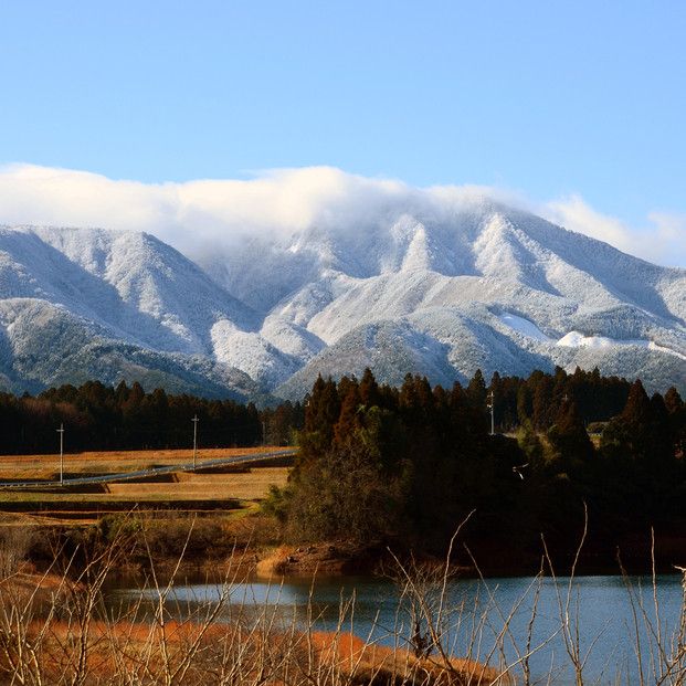 1103.令和7年産　原田農園きぬむすめ玄米 5kg 313726_CG003