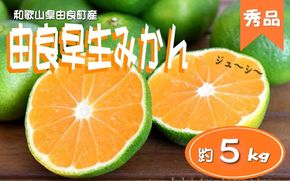 ≪秀品≫和歌山由良町産 由良早生みかん 約5kg サイズおまかせ【sml106C】