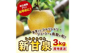 新甘泉 3キロ【安田農園】 312011_CG002