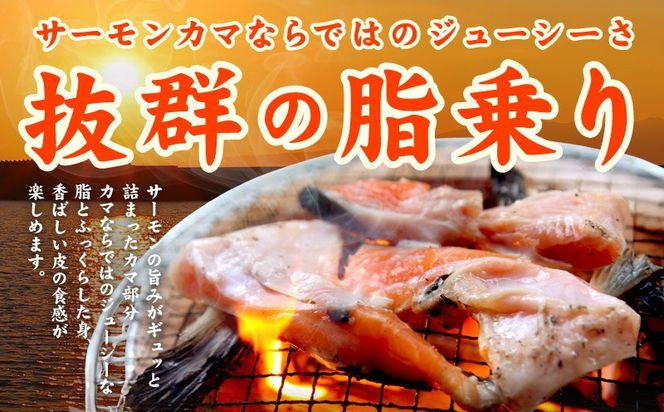 G3800 サーモン カマ 600g（約10-12切れ）【カマ 尻尾 小分け 海鮮 魚介 鮭 さけ しゃけ】