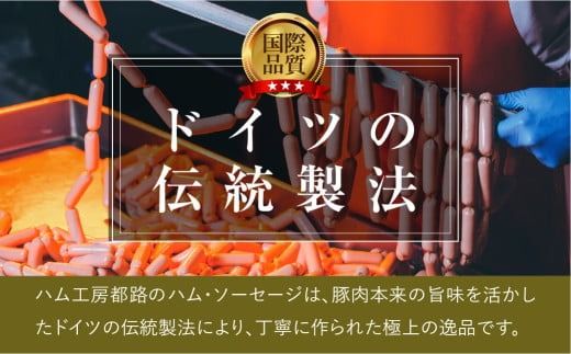 やまと豚 冷凍 生ウインナー プレーン 4袋入り (各5本入り × 4袋) 無添加 ソーセージ ウインナー ギフト プチギフト 肉 冷凍食品 贈答 プレゼント 10000円 1万円 福島県 田村市 ハム工房都路