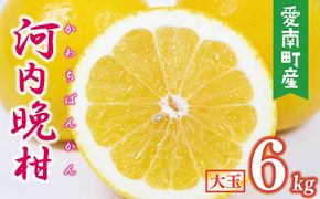数量限定 先行予約 河内晩柑 樹齢 25年以上 大玉 6kg （ 2Lサイズ 以上 ） 8000円 みかん mikan 蜜柑 ミカン かわちばんかん 愛南ゴールド あいなん ゴールド 文旦 派生 和製 グレープフルーツ 産地直送 国産 農家直送 期間限定 特産品 ゼリー ジュース アイス 等に 人気 限定 甘い さわやか フルーツ 果物 柑橘 蜜柑 みかんの山祥 愛南町 愛媛県