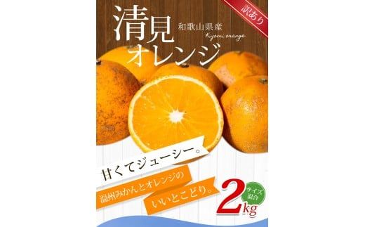 【訳あり】手選別 清見オレンジ 約2kg 和歌山県産 2S~2Lサイズ混合※2026年2月上旬～5月中旬頃に順次発送【mrmt023A】