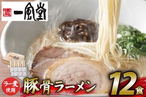ラーメン 一風堂 とんこつラーメン 白丸 ラー麦麺 スープ 12食 セット [地域商社ふるさぽ 福岡県 筑紫野市 21761444] 博多 福岡 らーめん ラー麦 とんこつ 豚骨 博多ラーメン 豚骨ラーメン 白丸ラーメン
