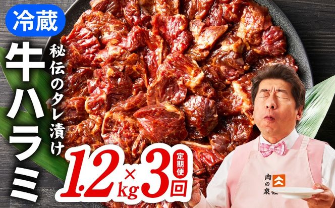 099Z381 【冷蔵配送】牛ハラミ肉 1.2kg×全3回【毎月配送コース お楽しみ 焼肉 ていきびん 小分け 味付け 焼くだけ 小分け BBQ やきにく 数量限定】