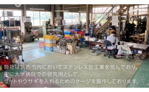 多目的 ステンレス ホルダー ( ぶたバージョン ) 端材 ステンレス ステンレス製 置物 玄関 豚 ぶた カップホルダー 一点モノ 一点もの ハンドメイド 職人 [ED002ci]