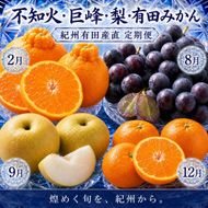 【2・8・9・12月 全4回】紀州産 巨峰とフルーツ定期便（巨峰・梨・みかん・不知火） 【魚鶴】AN041