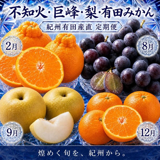 【2・8・9・12月 全4回】紀州産 巨峰とフルーツ定期便（巨峰・梨・みかん・不知火） 【魚鶴】AN041