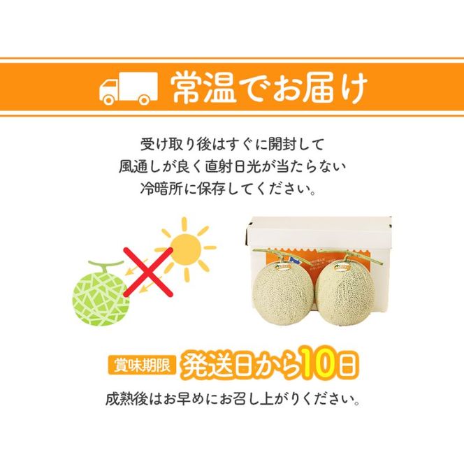 【2026年夏発送】北海道 富良野 メロン 3Lサイズ 約2kg×1玉 フルーツ 果物