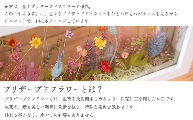 ＜小さき森 小窓 1個＞入金確認後、翌月末迄に順次出荷【インテリア 雑貨 ドライフラワー プリザードフラワー 木枠 おしゃれ 癒し ハンドメイド 手作り かわいい 贈物 プレゼント ル ペパン Le pépin 宮崎県 国富町 常温】【b0946_le】