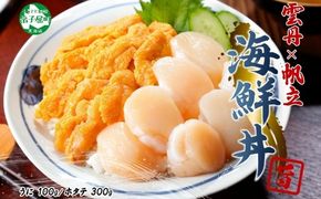 【年内配送 12月10日まで受付】3382. うに チリ産 冷凍 100g ホタテ 300g セット ファミリー ウニ 雲丹 ほたて 生ほたて 帆立 貝柱 貝 冷凍 海鮮 海鮮丼 送料無料 北海道 弟子屈町