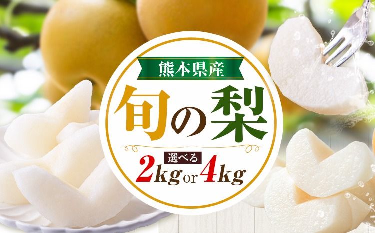 先行予約 旬の梨 梨 約2kg 約4kg 株式会社エフビーネット[出荷時期をお選びください]熊本県 氷川町 果物 フルーツ 熊本県産 青果物 和梨 ジューシー---hkw_efn_6_2kg---