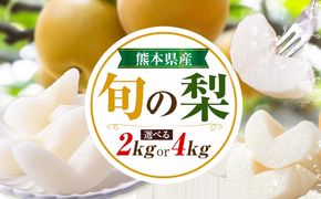 先行予約 旬の梨 梨 約2kg 約4kg 株式会社エフビーネット《出荷時期をお選びください》熊本県 氷川町 果物 フルーツ 熊本県産 青果物 和梨 ジューシー---hkw_efn_6_2kg---