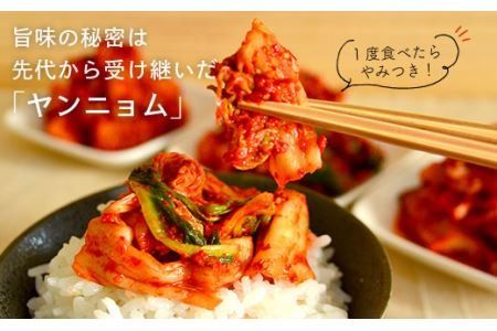 玉家 の キムチ セット D ( 白菜 / 葱 / 胡瓜 ＆ 大根 ) 糸島市 / 玉家のキムチ工房【いとしまごころ】[AAE004] キムチ 漬け物