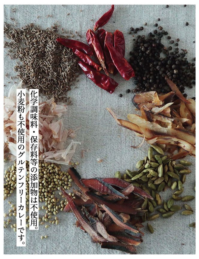 【きょうのおだし】スパイスだしカレー 2食入［ 京都 削り節屋 おだしのプロ スパイスカレー 人気 おすすめ 無添加 おいしい お取り寄せ 通販 送料無料 ふるさと納税 ］ 261009_B-KD38