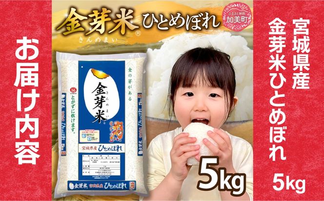 宮城主役ごはんセットA【銀鮭（600g×2）×金芽米（5kg）】 | kami-w-sk-a