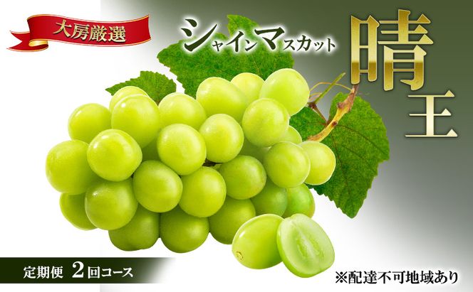 【2026年先行予約】晴れの国 大房厳選 シャインマスカット 晴王 夏秋 定期便 2回 コース《2026年6月中旬-10月上旬頃出荷》  ブドウ 果物 マスカット 岡山 里庄 数量限定