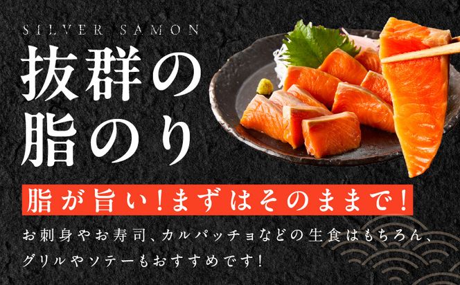 kgp0010 【訳あり】生食用 シルバーサーモン 1kg ポーション【小分け 2-4柵 サイズ不揃い 銀鮭 刺身用 お刺身 魚介 海鮮】