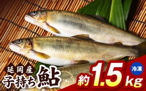 【冷凍】子持ち鮎約1.5kg N070-YB1106-2