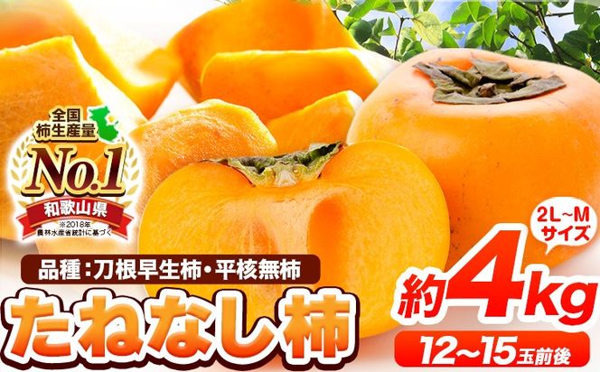 【先行予約】たねなし柿（刀根早生柿・平核無柿）約4kg（12～15玉前後） 《9月中旬-11月上旬頃出荷》 和歌山県 紀の川市 種なし柿 産地直送 柿 果物 フルーツ 2L～Mサイズ カキ---wfn_wlocal78_9c11j_25_10000_4kg---