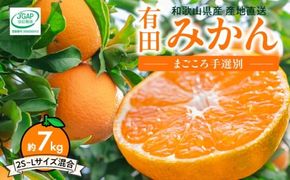 ZE6518_【2026年先行予約】【秀品】和歌山県産 有田みかん 約7kg (2S～Lサイズ混合)【まごころ手選別】