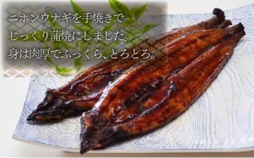 うなぎ蒲焼 3尾セット 合計600g以上 (定期便3回) H-301