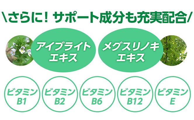 DHC速攻ブルーベリー V-MAX30日分12個セット サプリメント 健康食品 加工食品 ビルベリー ルテイン アスタキサンチン アントシアニン ビルベリーエキス末 