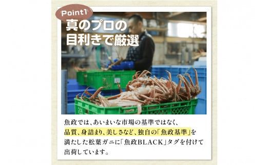 【蟹の匠 魚政】茹で　プレミアムズワイガニ 魚政BLACK（松葉ガニ・越前ガニ）特撰 特大サイズ（1200～1300g） 2匹セット　(11月～12月発送)　松葉蟹 蟹 かに カニ ガニ がに ボイル 海産物 甲殻類 海の幸 まるごと　UO01308