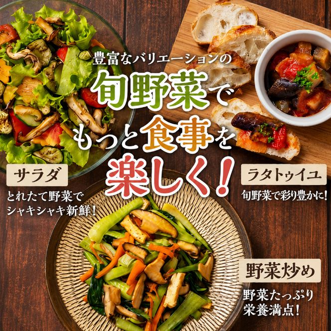 とれたて 野菜 パック 定期便 6回 季節の野菜 セット 詰め合わせ 8品前後 野菜セット 野菜詰め合わせ 6ヶ月 ジャガイモ 人参 大根 小松菜 白ネギ グリーンリーフ チンゲン菜 椎茸 トマト 水菜 葉ネギ 人気 厳選 静岡県