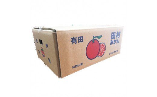 【ご家庭用訳あり】田村みかん　5kg　※2026年11月下旬～2027年1月下旬頃に順次発送予定(お届け日指定不可) 訳ありみかん 温州みかん【uot754A】
