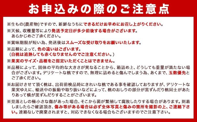 【先行予約】秀選品 和歌山のブランド桃「あら川の桃」約1.5kg 4~5玉入り 厳選館《6月下旬-8月上旬頃出荷》 紀の川市厳選館 和歌山県 紀の川市---wsk_cgsk41_l68_23_13000_1500g---