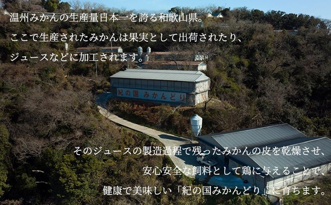 DO6001n_紀の国みかんどり 鶏 すき焼き セット【鶏鍋 鶏すき 鍋セット】