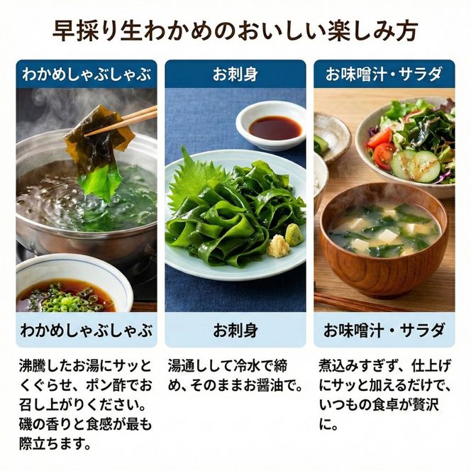 【2月までの期間限定】早採り生わかめ 新物 1kg 期間限定 ★2026年1月～発送予定★ わかめ 早採りわかめ 生わかめ 三陸 小分け 若芽 湯通し 海藻 海産物 味噌汁 ごはん 夕飯 おかず しゃぶしゃぶ サラダ お刺身 刺し身 刺身 末崎 岩手県 国産 大船渡 サンライズ丸榮