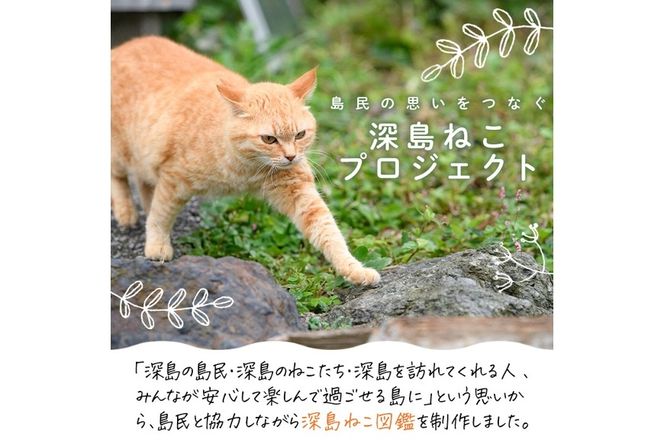 深島ねこ図鑑vol.2 (1冊) 猫 ねこ 写真集 本 雑誌 書籍 深島 猫の島 グッズ 大分県 佐伯市 【HD68】【さいき本舗 城下堂】