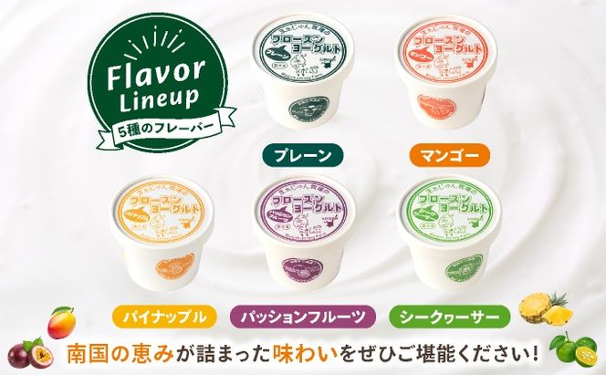 まぁじゅん牧場のフローズンヨーグルトセット 5種詰め合わせ 10個入り (プレーン マンゴー パッションフルーツ パイナップル シークヮーサー)