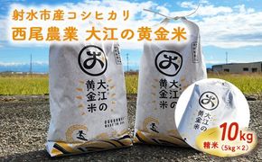 大江の黄金米 コシヒカリ10kg（5kg×2） ｜ 射水市 西尾農業 黄金米 射水の美味しいお米 精米 ※離島への配送不可