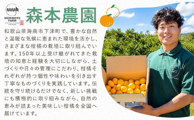 みかん ご家庭用 柑橘 極早生 極早生みかん 手選別 選べる 2S-2Lサイズ混合 3S・2Sサイズ混合 1.5kg 4.5kg 6kg 8kg 10kg 森本農園《10月上旬-11月上旬頃出荷》和歌山県 日高町 柑橘類 フルーツ 家庭用 ミカン お取り寄せフルーツ【配送不可地域あり】---wsh_mnn24_10j11j_26_6000_1500g---