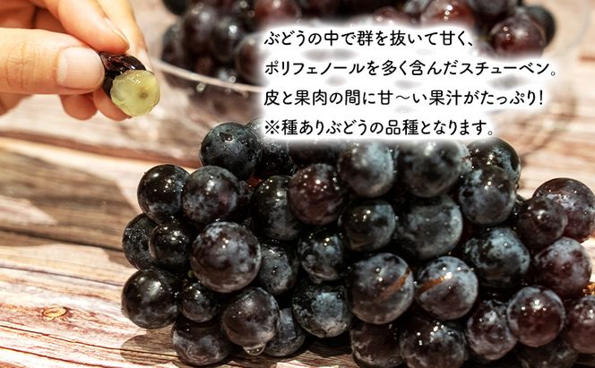 青森県鶴田町産 津軽ぶどう村 完熟スチューベン原液 720ml × 3本 ＆ 特秀 スチューベン ぶどう 約2kg セット 果物 ぶどう フルーツ 果汁飲料 ぶどうジュース　高糖度 ギフト 贈答用
