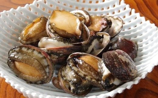 守っていきたい室戸の宝！初音のながれこ煮物【６人前】簡単調理 貝 ナガレコ 流れ子 期間限定 旬 海の幸 海産物 人気 料理 アワビ類 鮑類 高知県 室戸市