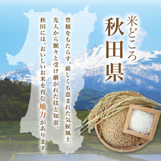 【ふるプレ限定品】【新米先行予約】【2026年10月以降順次発送予定】《定期便12ヵ月》ひとめぼれ 令和8年度産 精米5kg【精米 白米 米 コメ お米 おこめ ブランド米 ご飯 ごはん 秋田 にかほ】