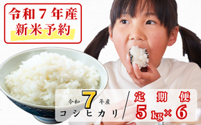 《令和7年産新米予約・10月ごろよりお届け開始》【6回定期便】白米 5kg 令和7年産 コシヒカリ 岡山 あわくら源流米 K-af-CECA